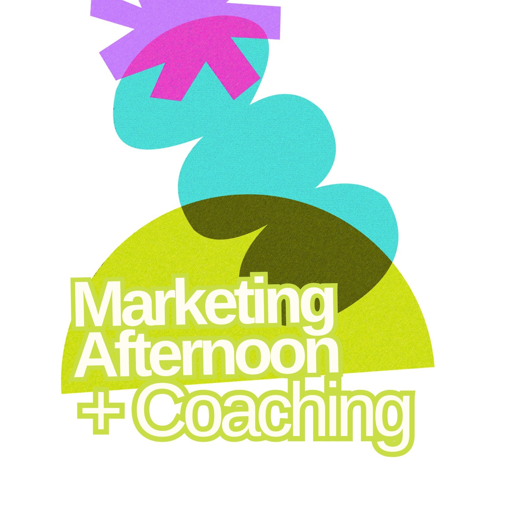 Marketing Plan Add On - Coaching Support (Half Day)